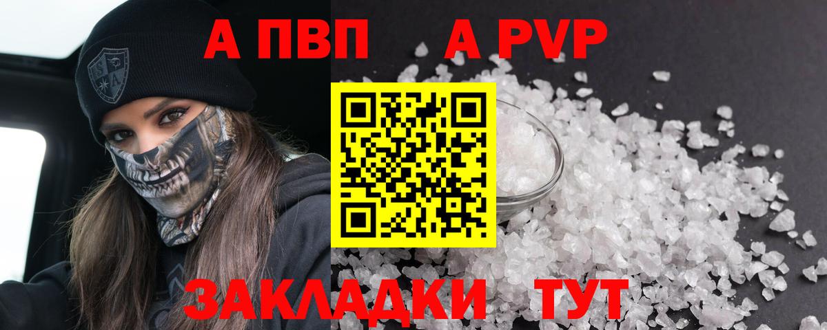 Альфа ПВП СК Великий Новгород