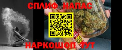 гидра Моздок