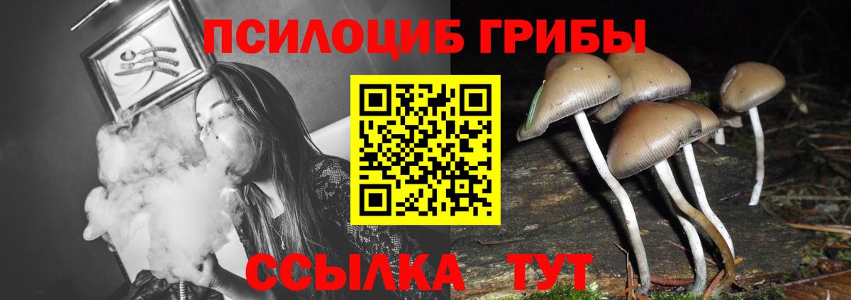 Великий Новгород  Галлюциногенные грибы мухоморы  Вход с VPN 