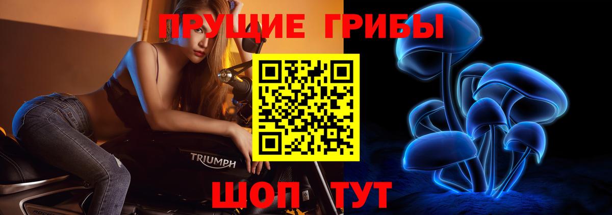 Галлюциногенные грибы прущие грибы Великий Новгород